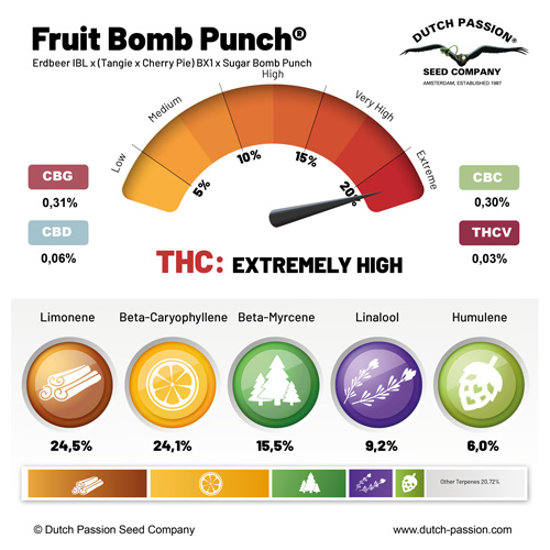 Fruit Bomb Punch terpenes